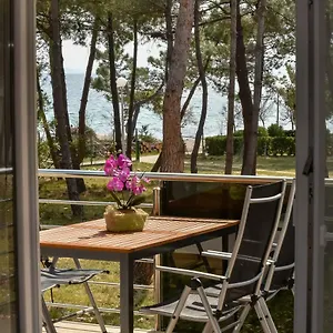 Denis Apartmán Vir